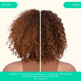 back of model's curly hair before and after washed hair with the kure shampoo + conditioner, then applied kure bond repair mask for 10 minutes. *hair unretouched