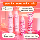 reset | clarifying + cleansing gel shampoo
